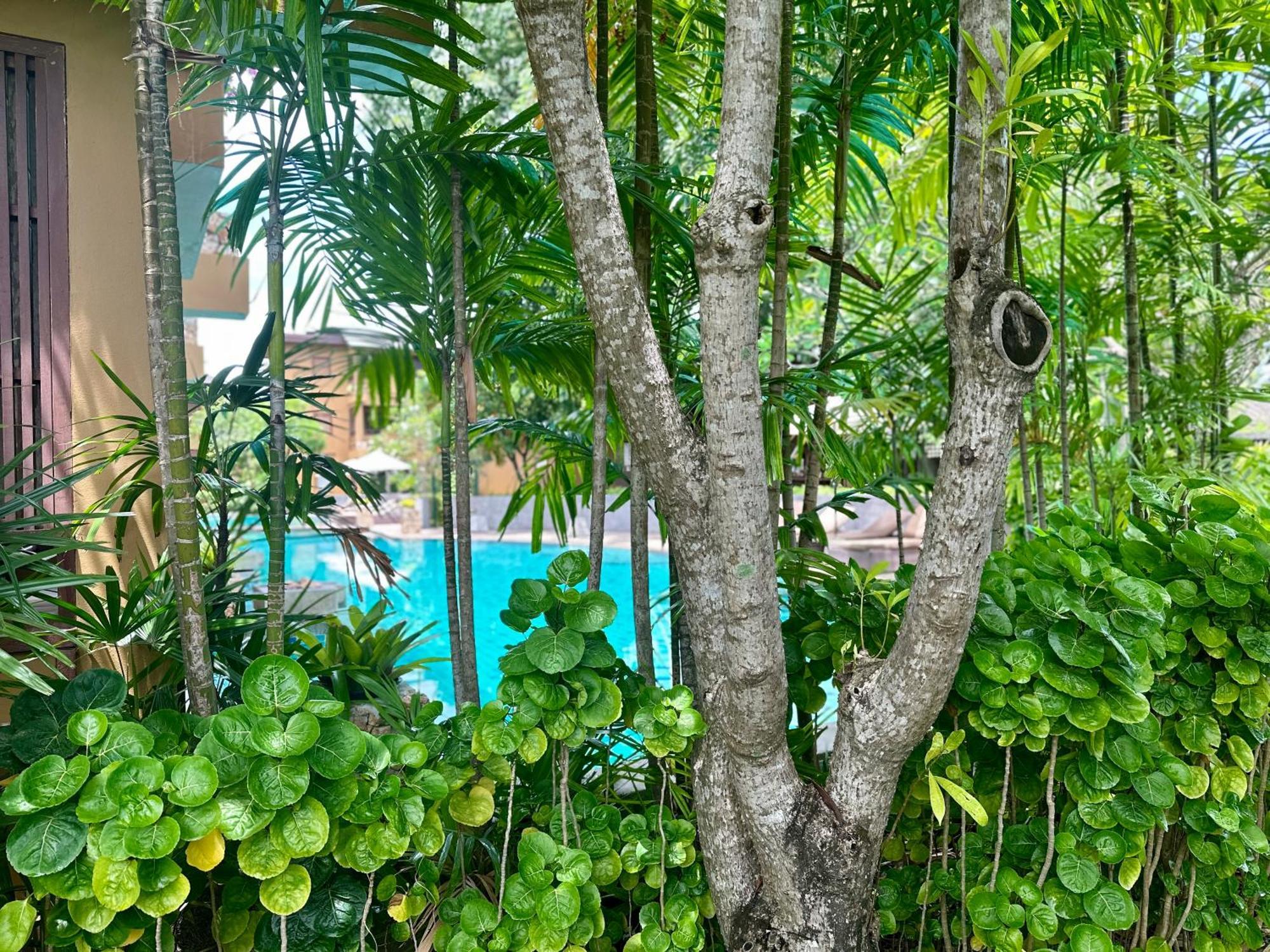 Deva Beach Resort Samui Choeng Mon Exterior photo